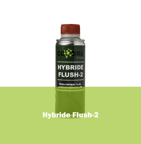 Hybride-2